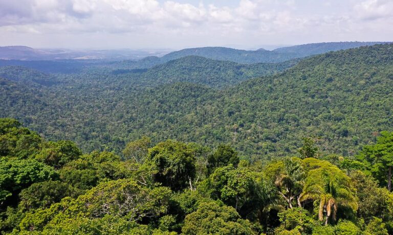 Amazônia: Redução da pobreza e do desmatamento podem coexistir