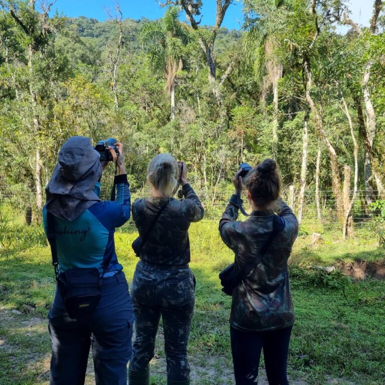 Trabalho da Secretaria de Meio Ambiente nas pesquisas e monitoramento da fauna e flora de União da Vitória