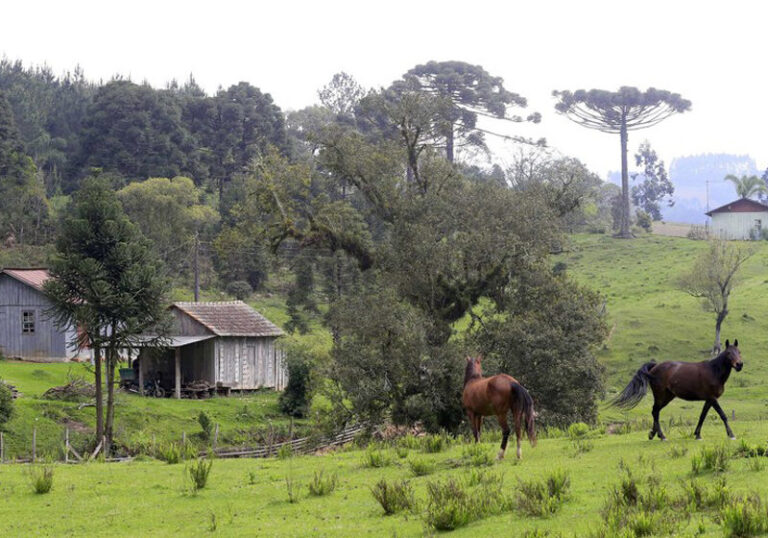 IAT cria Guia para ajudar proprietários a adequarem áreas de preservação