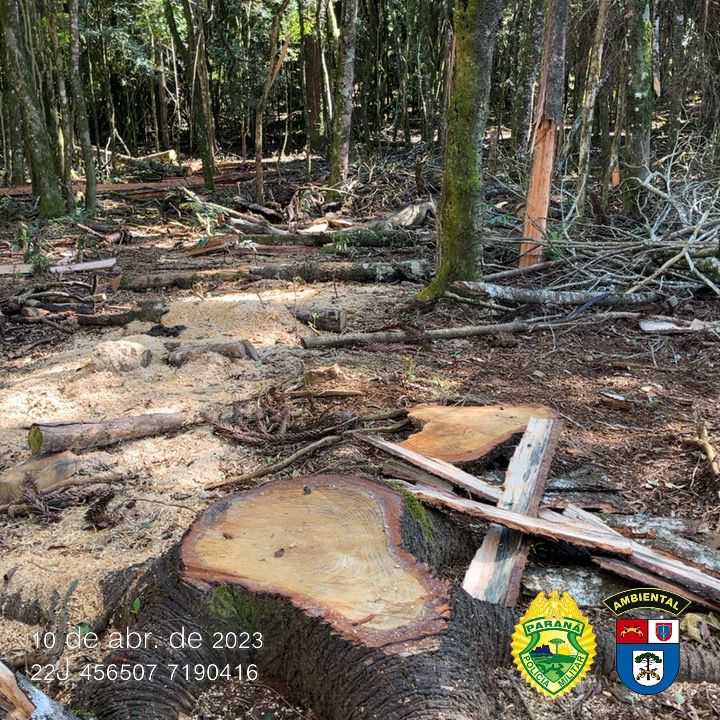 Polícia Militar Ambiental do Paraná autua proprietários por danos ambientais