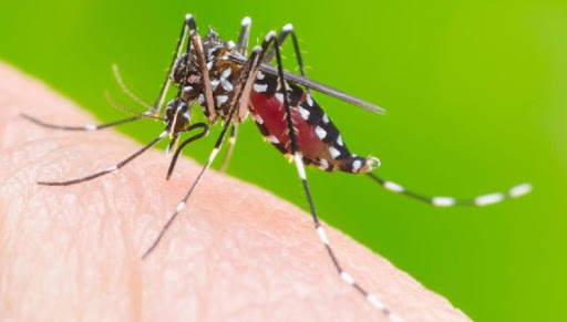 É grande a preocupação com doenças respiratórias e da dengue em Santa Catarina