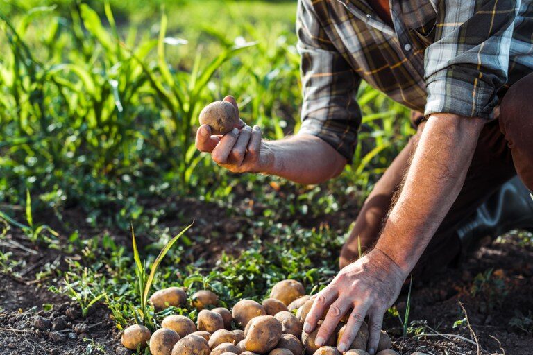 25 de maio – Dia do Trabalhador Rural!