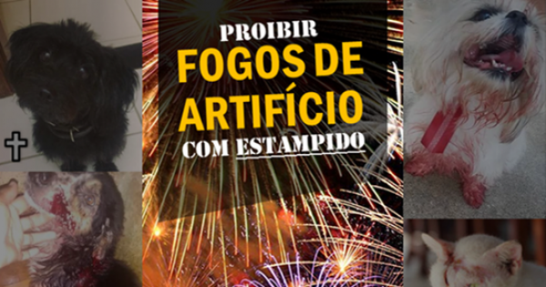 Fogos de artifício com som forte de explosivo podem ser proibidos em Santa Catarina