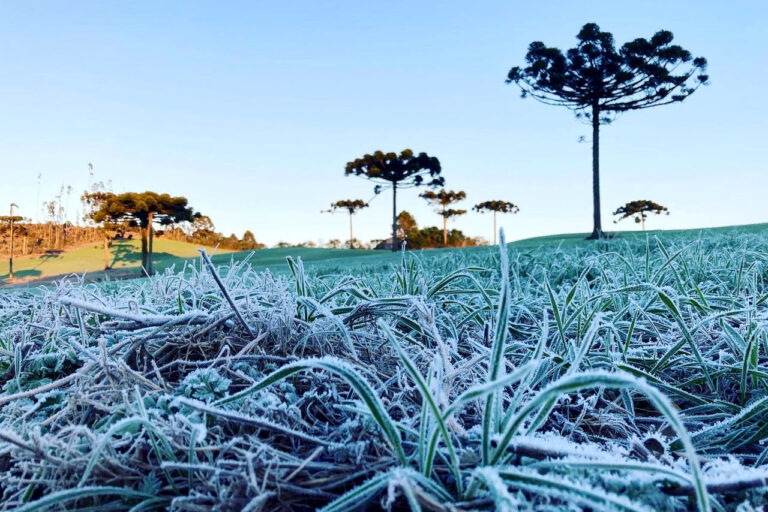 Inverno começa na quarta-feira (21) e Simepar prevê inverno com poucas ondas de frio, veranicos e geadas