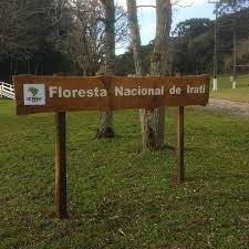 Florestas Nacionais de Irati (PR), Três Barras e Chapecó (SC) serão licitadas