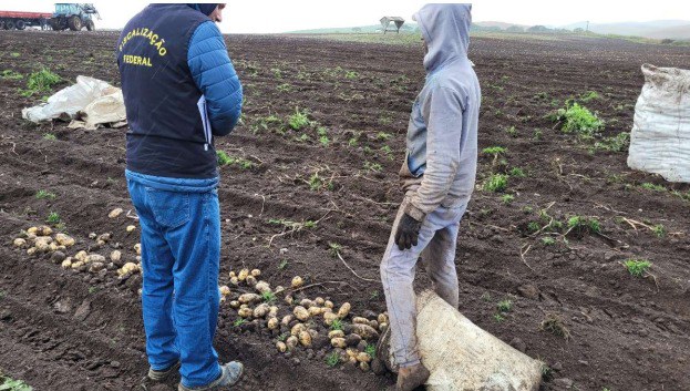 Uma vergonha: trabalho escravo em General Carneiro (PR) e Água Doce (SC)