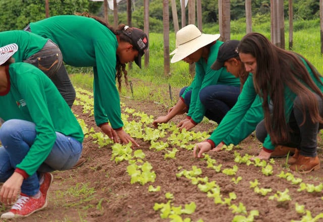 ALEP aprova projeto de Hussein Bakri que define 15 de outubro como Dia da Mulher Agricultura do Paraná