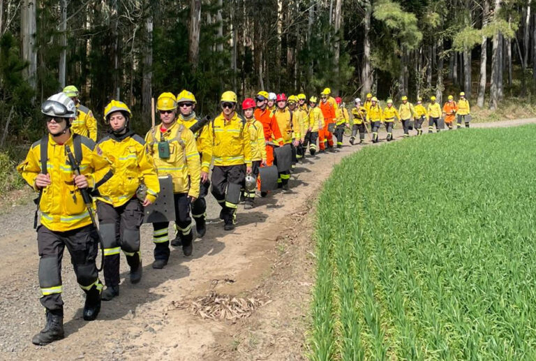 Bombeiros de Santa Catarina concluem curso de Prevenção de Incêndios Florestais