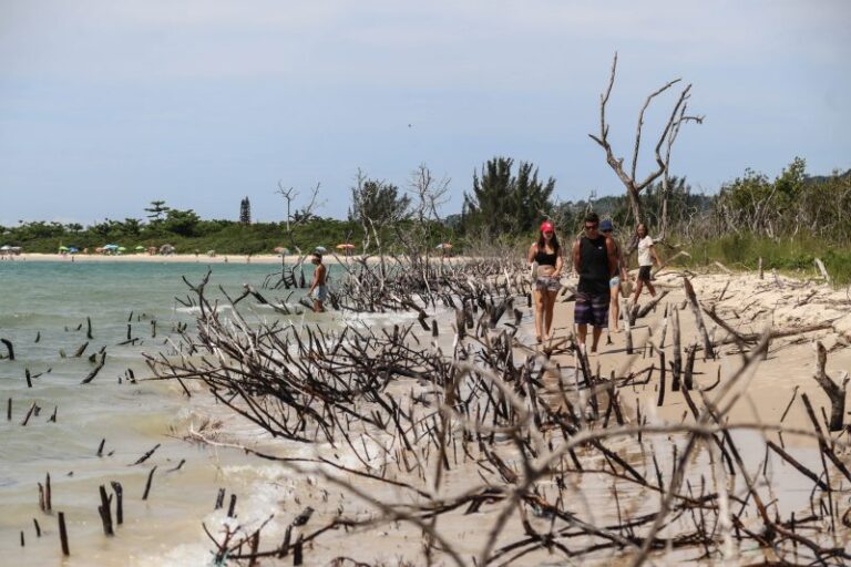 Derretimento de calotas de gelo alerta costa do estado de Santa Catarina