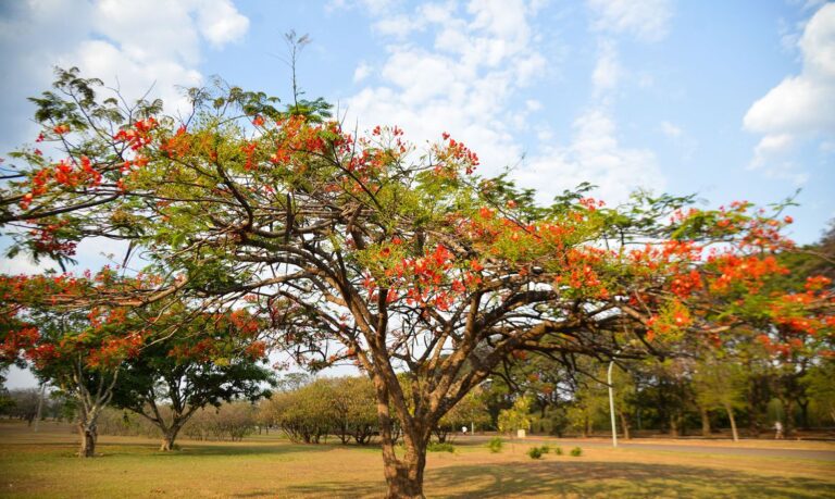 Já estamos na primavera, com o fim de um inverno anormal