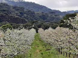 Como será a primavera em Santa Catarina – com muita chuva e calor