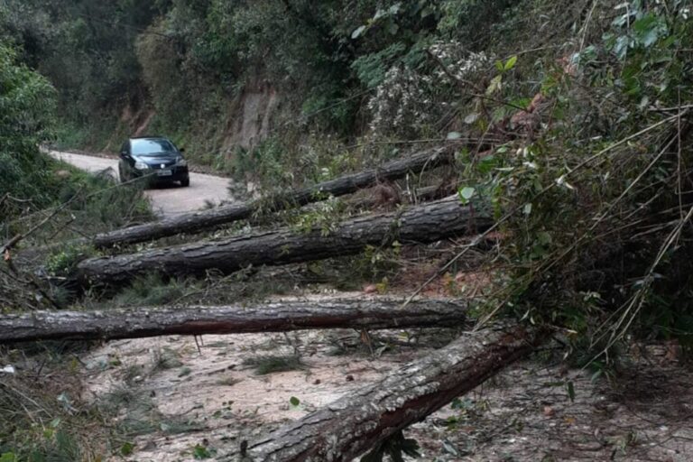 Situação das rodovias estaduais e federais no Paraná, com interdições na região de UVA