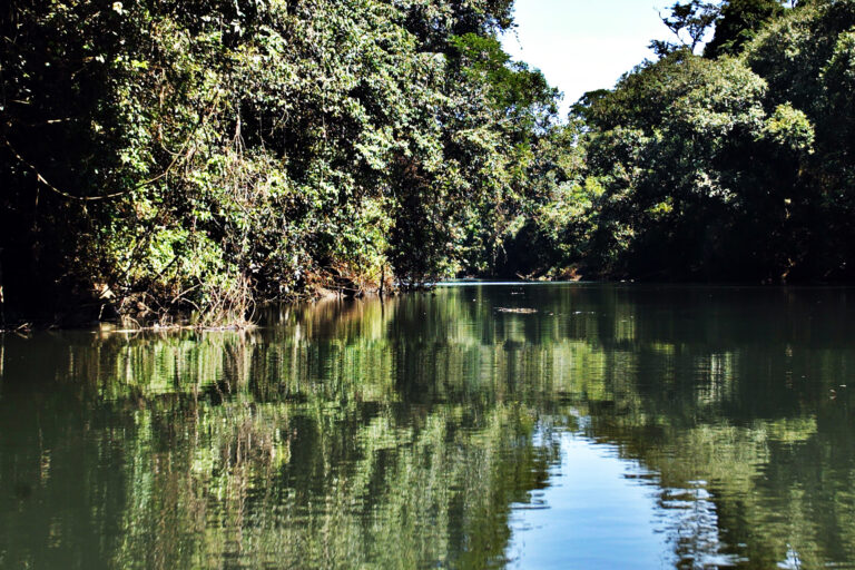 Reunião do Comitê da Bacia Hidrográfica e Afluentes do Baixo Iguaçu será no dia 10