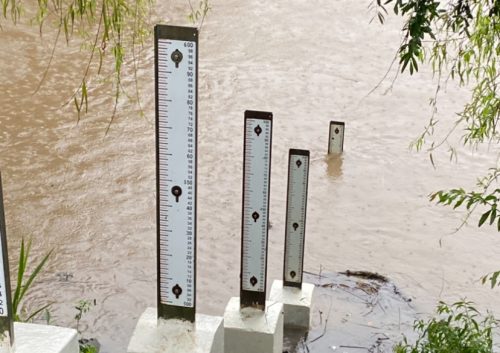 Nível do Rio Iguaçu se aproxima do normal, mas o trabalho de limpeza continua