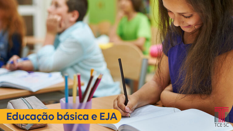 TCE/SC fará levantamento detalhados de alunos na educação básica e do EJA