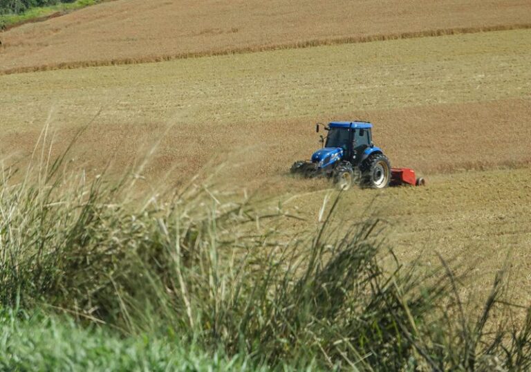 Mudanças climáticas causam impacto frustrando a produção de alimentos, que sobem de preço