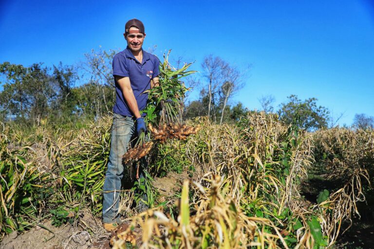 Programa Restec de especialização rural em economia beneficia União da Vitória