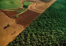 Coalizão Brasil Clima, Florestas e Agricultura