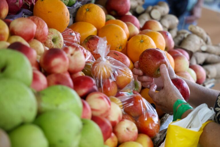 Santa Catarina é o Estado com maior segurança alimentar e menor desigualdade