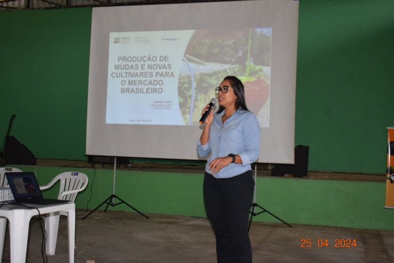 Sebrae apoia Seminário do Morango em Matos Costa