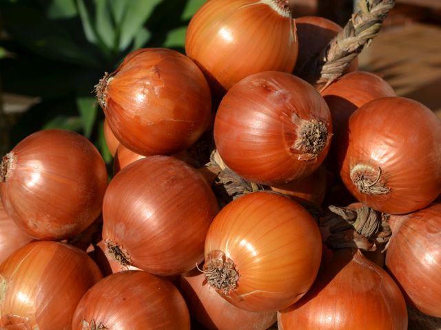 As causas do aumento dos preços dos alimentos, segundo o Boletim Agropecuário