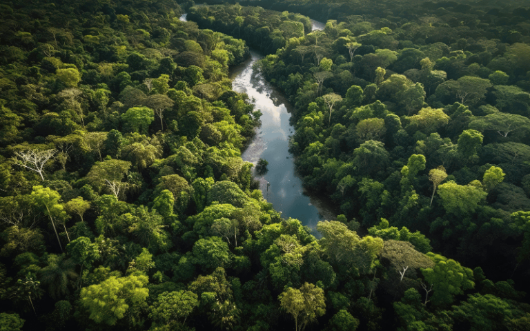 Abrampa diz que o Brasil não cuida do meio-ambiente como deveria