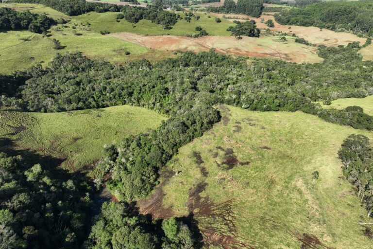 R$ 2,8 milhões de multas por desmatamentos ilegais no Sudoeste do Paraná