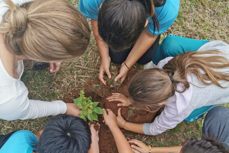 No Dia do Meio-Ambiente, Paraná ajuda a salvar de espécies ameaçadas