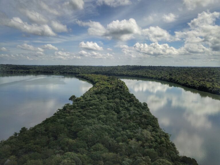 A importância das bacias hidrográficas no Paraná, inclusive a do Rio Iguaçu