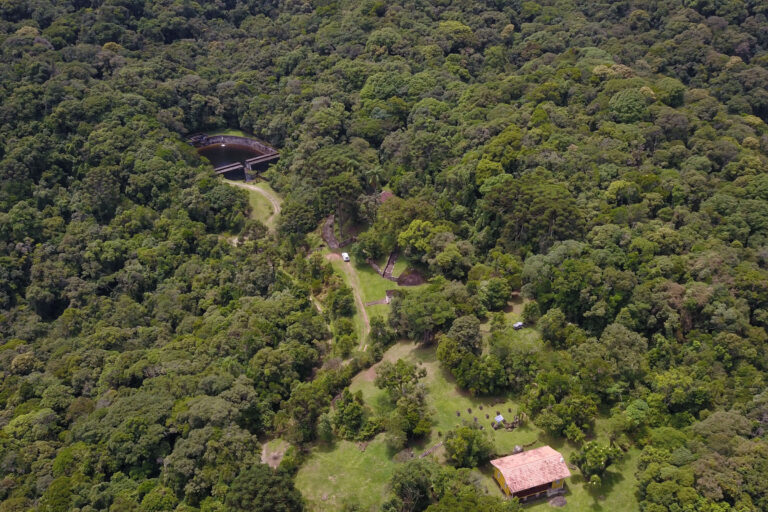 Mata Atlântica do Paraná: BRDE e Fundação Boticário firmam parceria de sustentabilidade